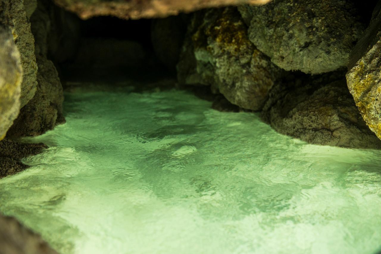 Takamiya Ryokan Miyamaso Yamagata  Esterno foto